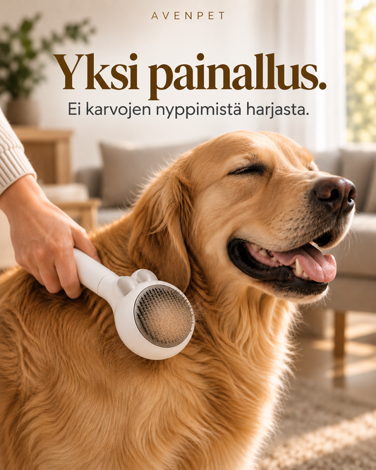 AvenPet — Itsepuhdistuva koiranharja